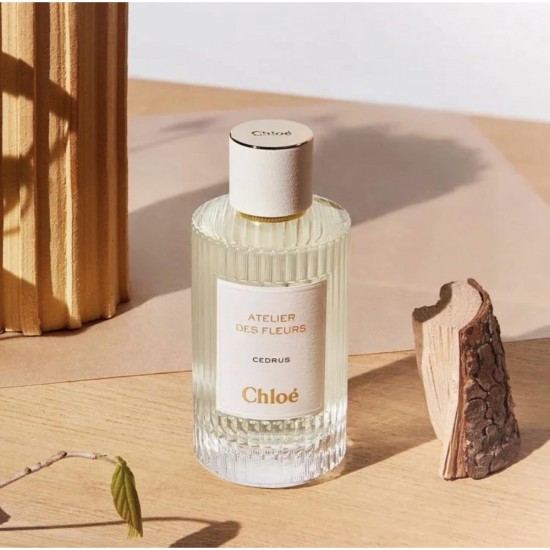 Chloé Cedrus Chloé Cedrus